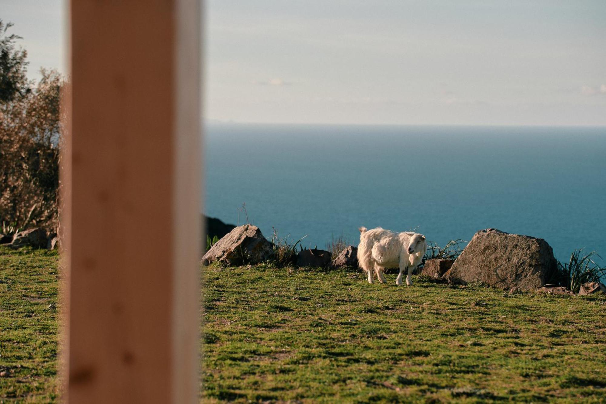 New Suites Sea View Sardinia, Castelsardo Eksteriør bilde